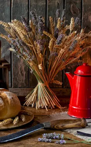 LAMMAS Lughnasadh