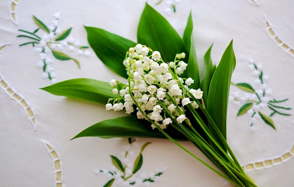 Lily of the valley