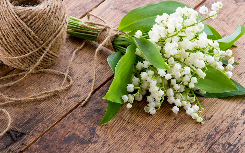 Bouquet Lily of the valley