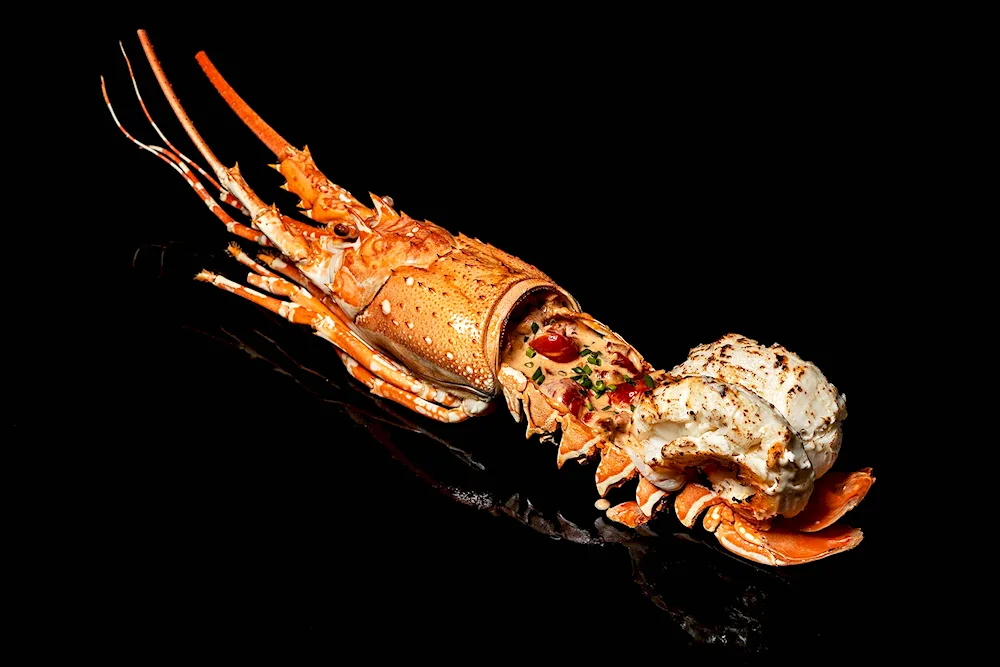 Lobster lobster s2