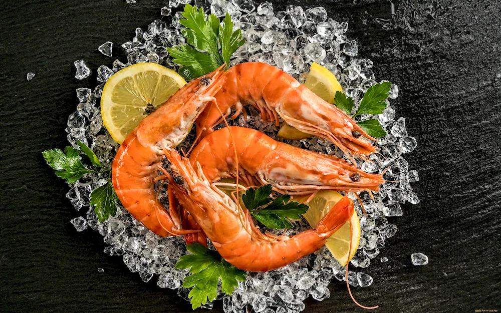 Langoustines Shrimp