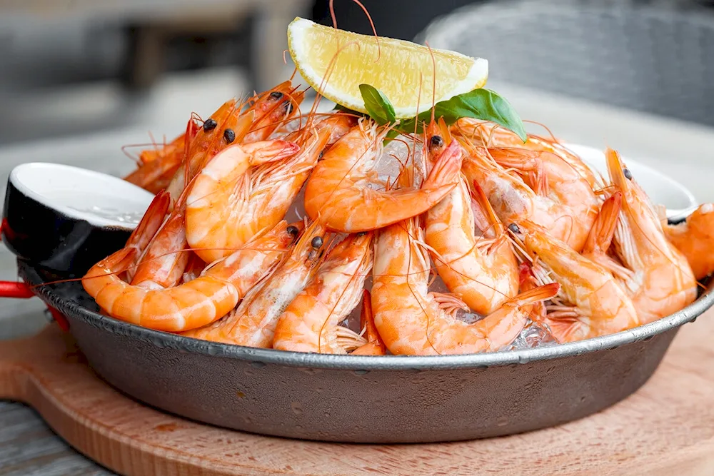 Langostin scampi
