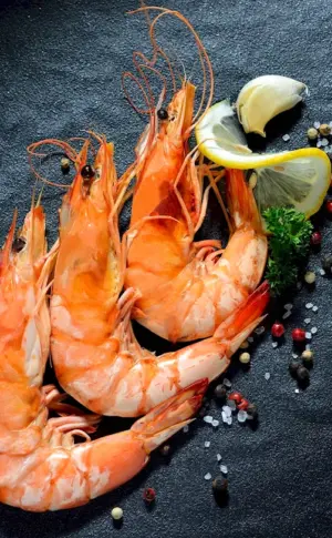 Langoustines l1