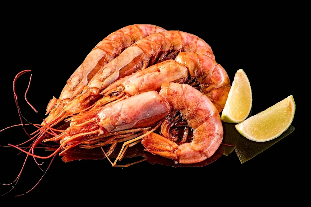 Langoustines l1 Argentina