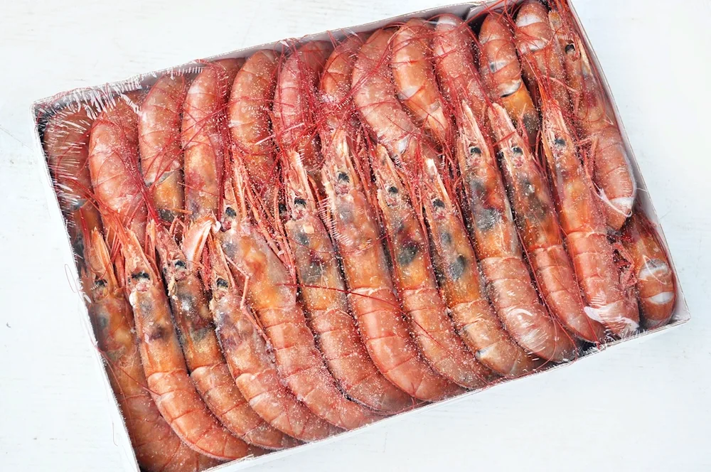 Shrimps Camarones
