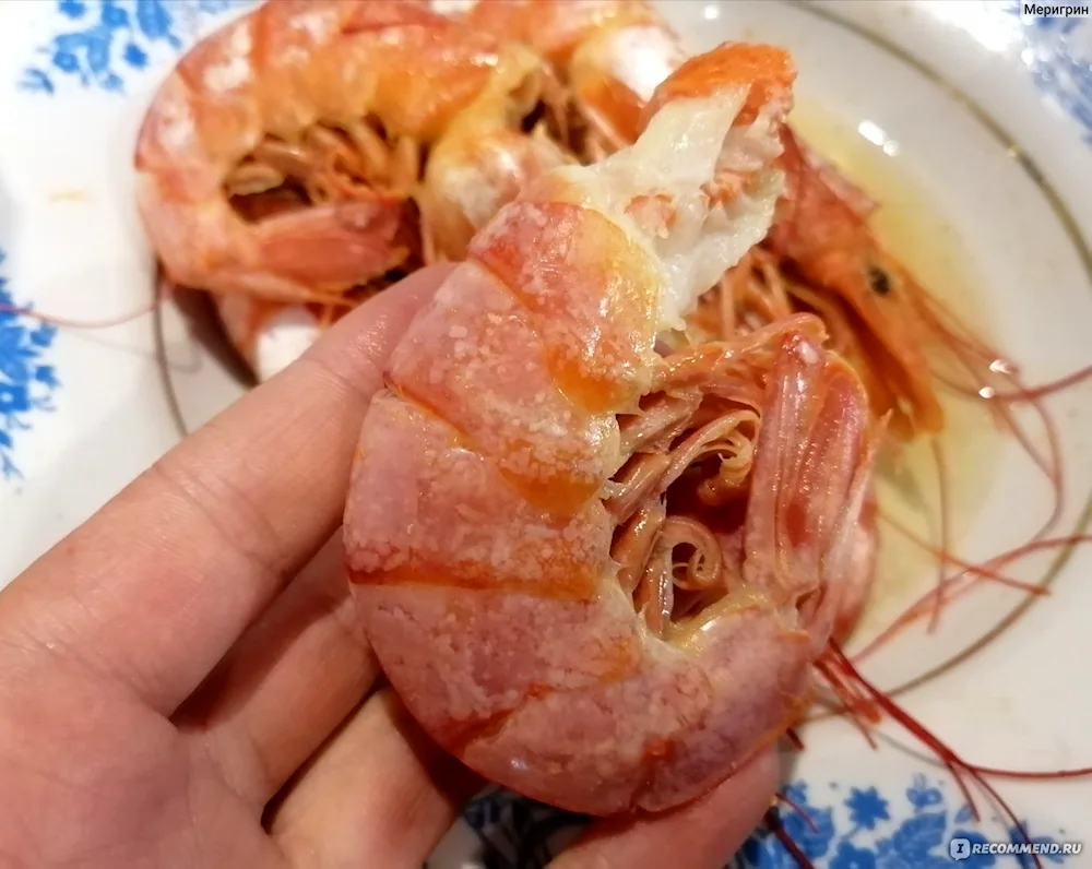 Bearfish shrimp shrimp shrimp shrimp shrimps