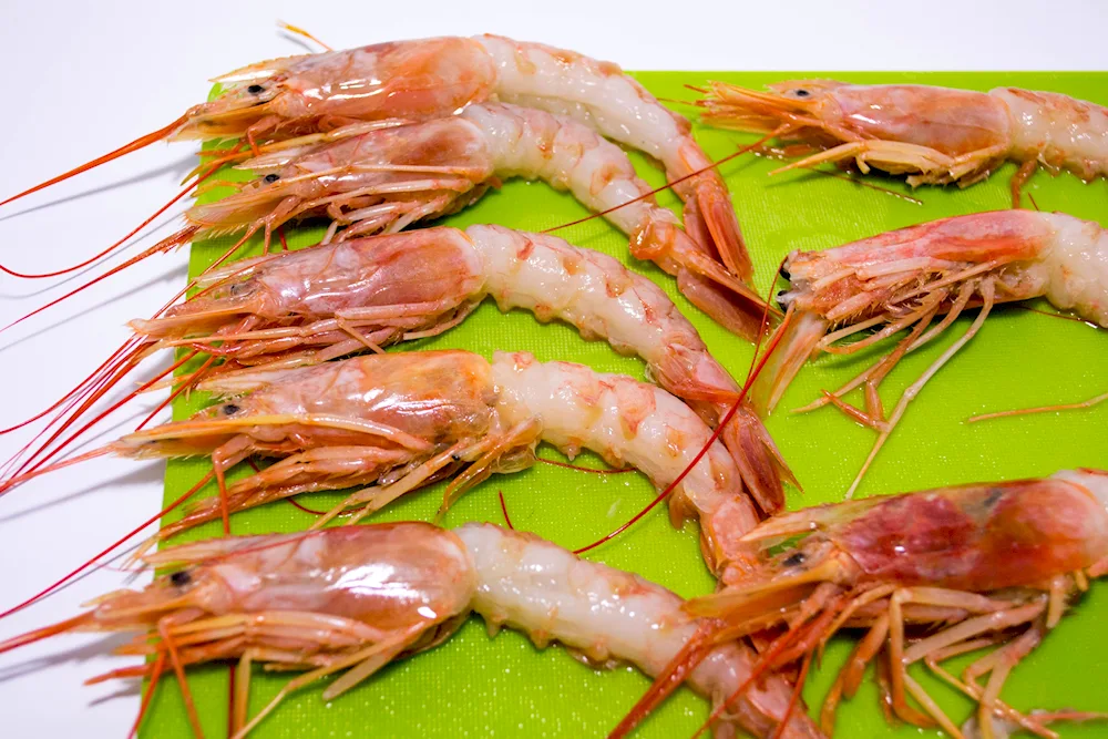 Shrimp- grilled tiger shrimp on black background