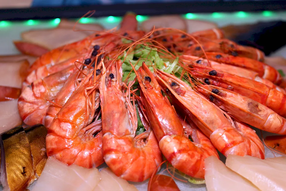 Langostins scampi