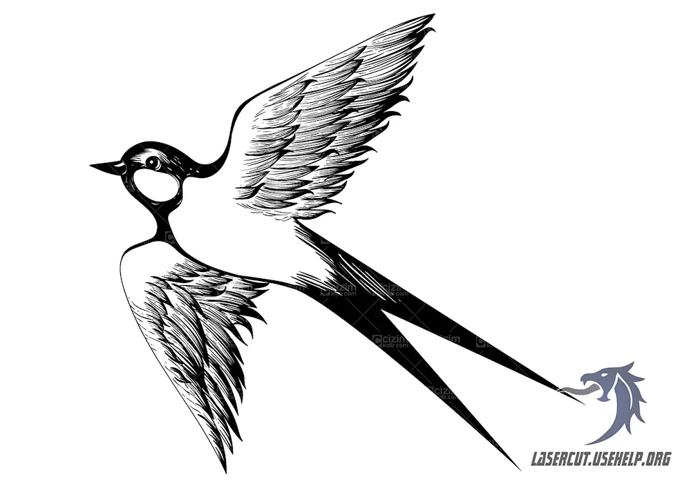 Swallow stencil