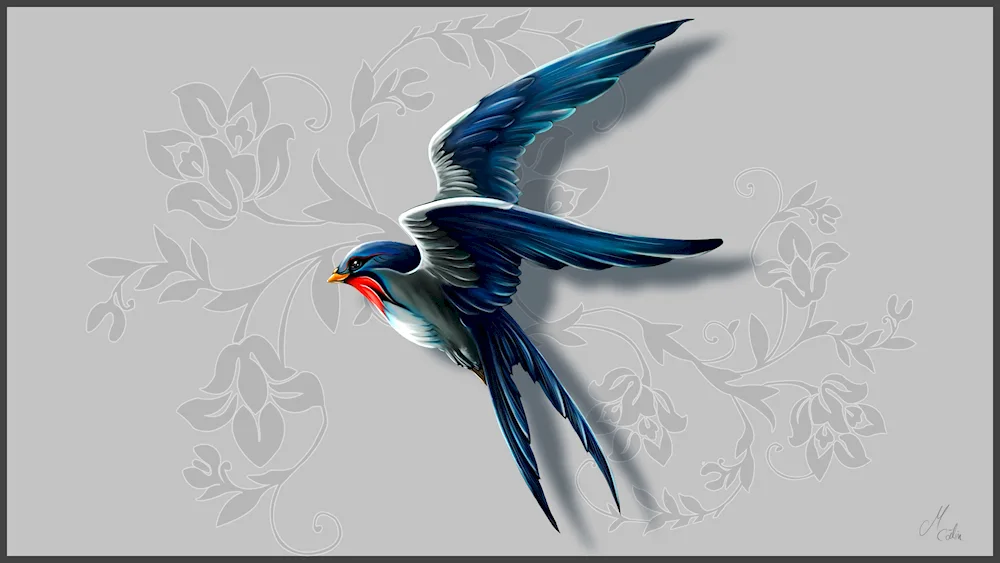 Swallow bird colouring for kids