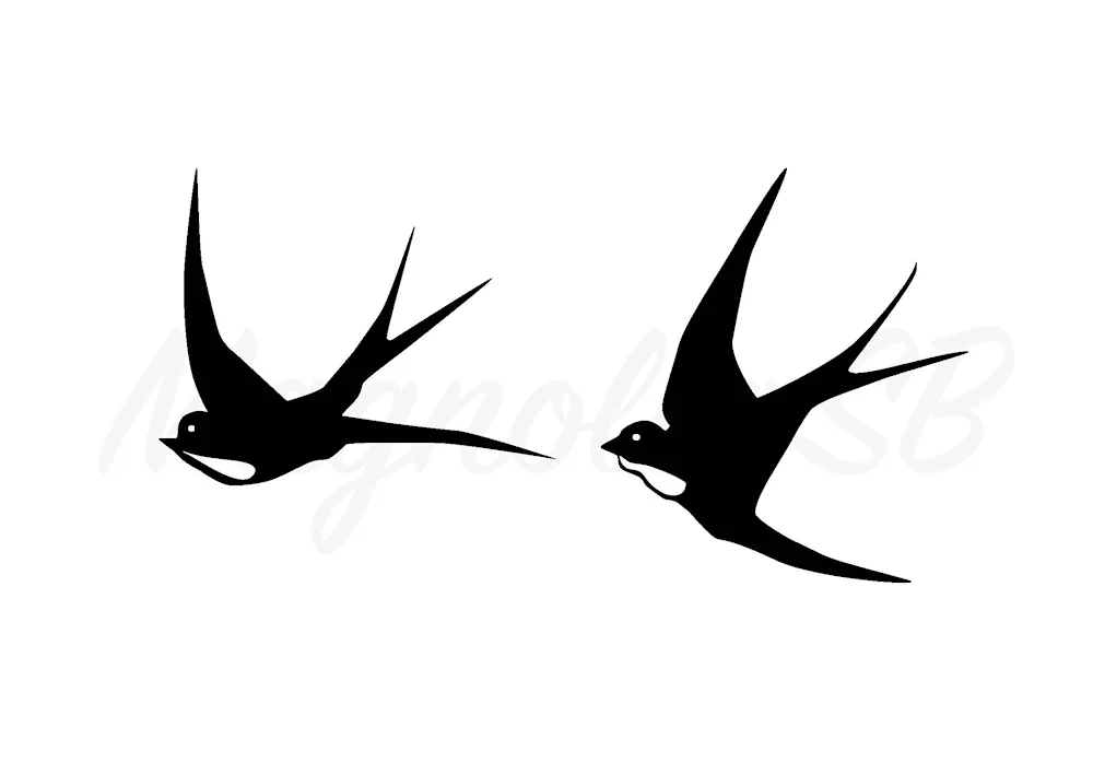 Silhouette of a swallow in flight