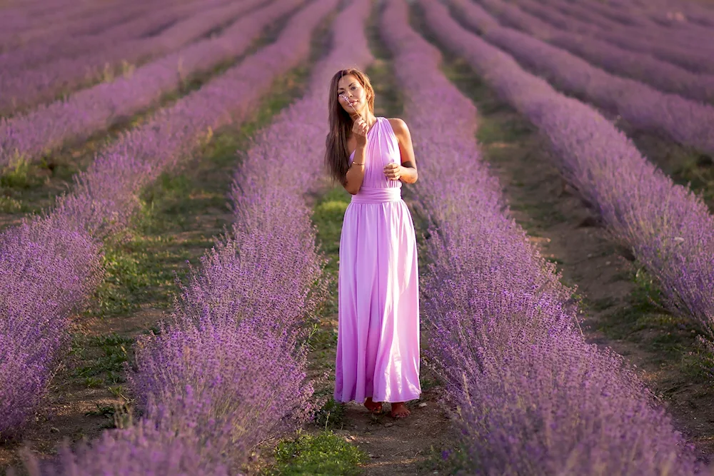 Lavender field Irina Neskorodeeva