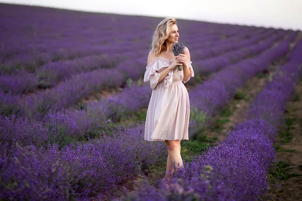 Lavender fields in the Krasnodar region