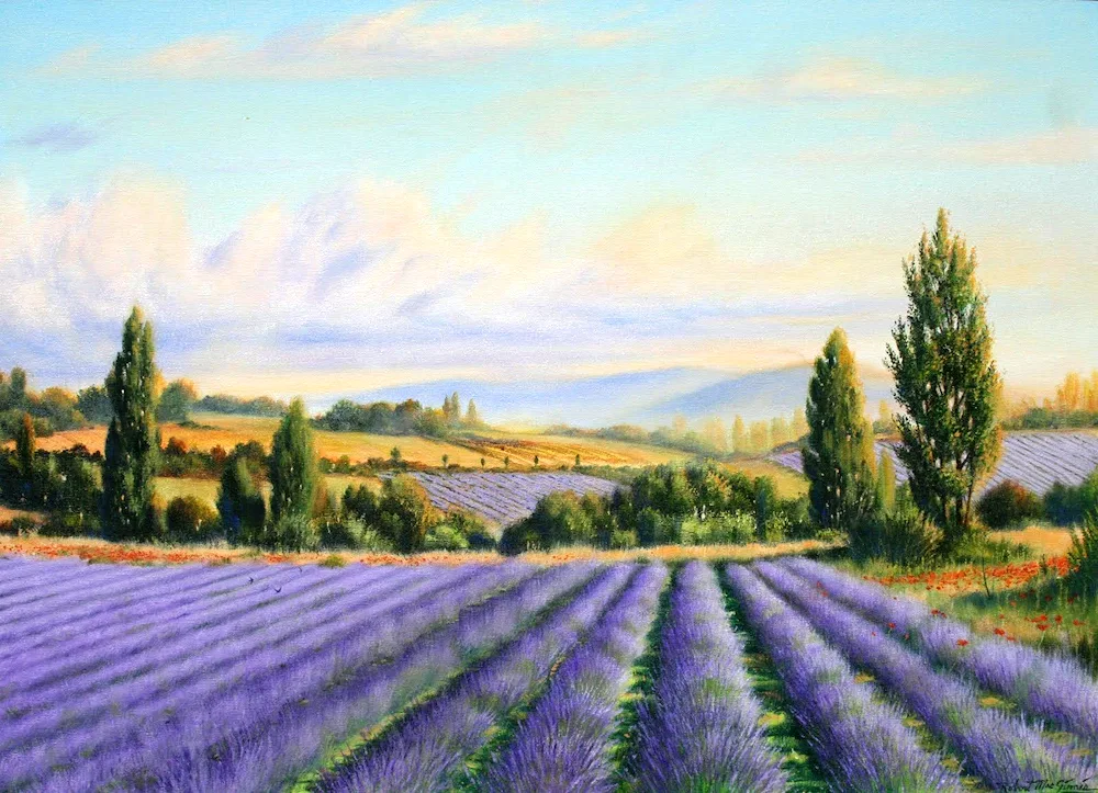 Lavender Fields Jean Marc Janiachik
