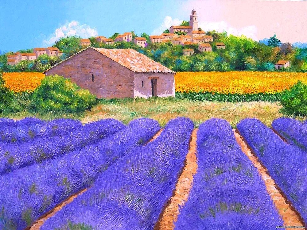Lavender Fields Jean Marc Janiachik