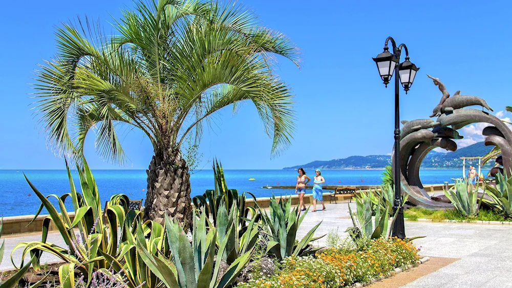 Tenerife Canary Islands