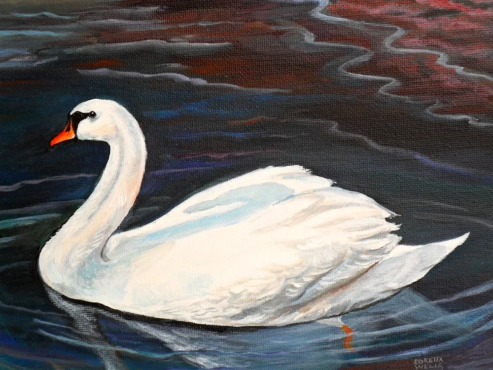 Swan colouring for kids