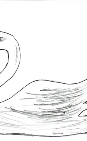 Swan picture for kids