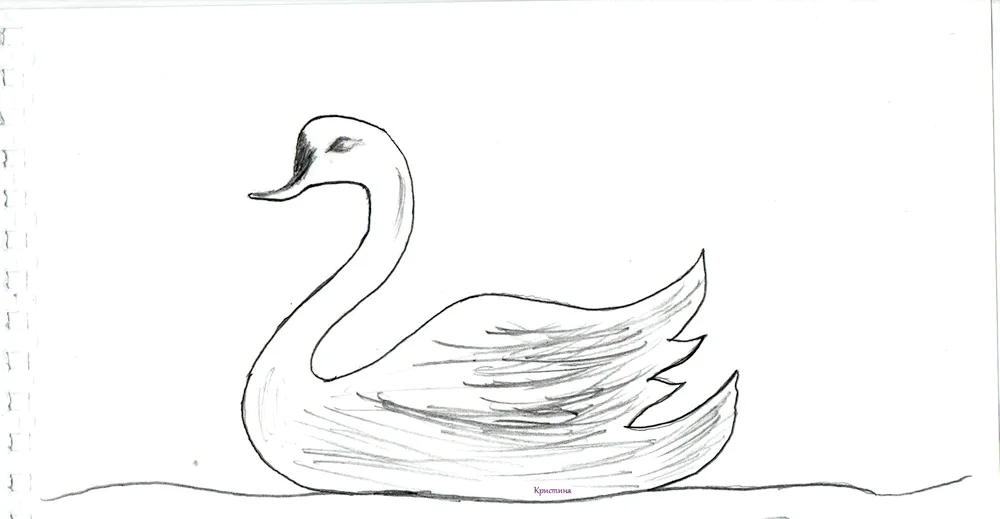 Swan picture for kids