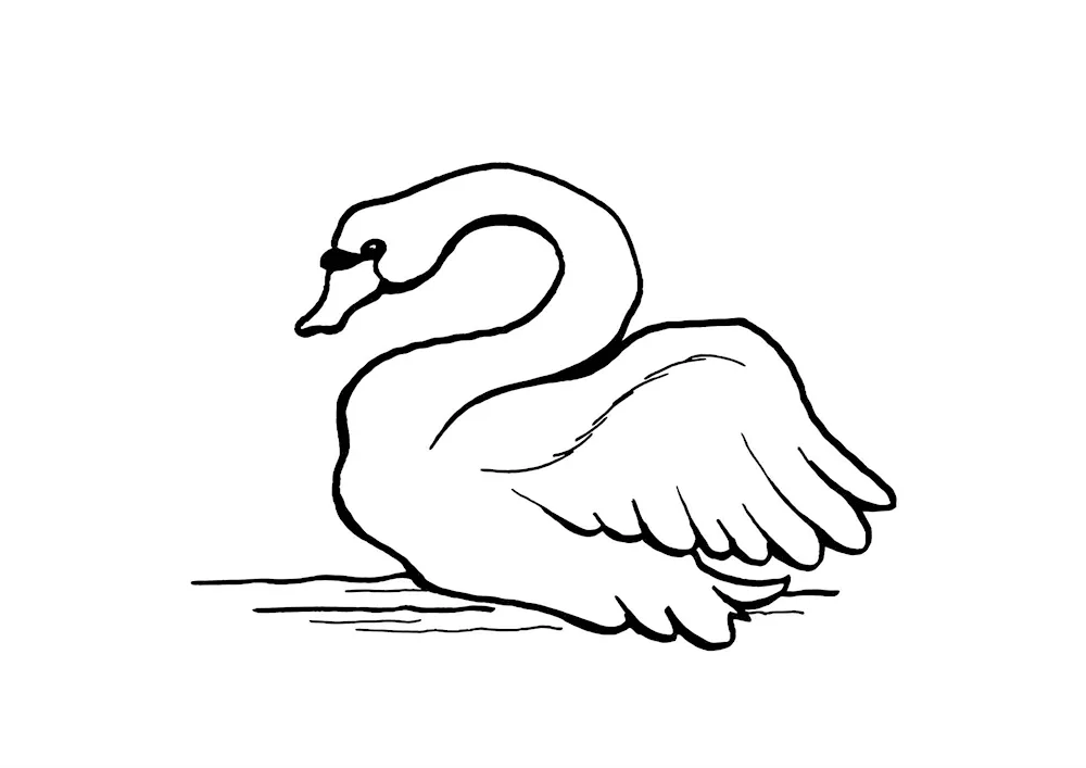 Mom's Sibiryak swan colouring