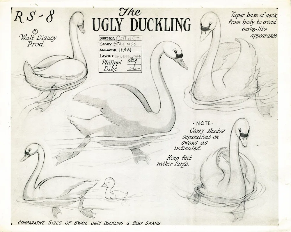Swan colouring for kids