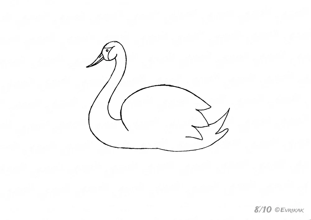 Swan drawing easy
