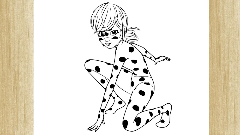 Lady bug colouring book