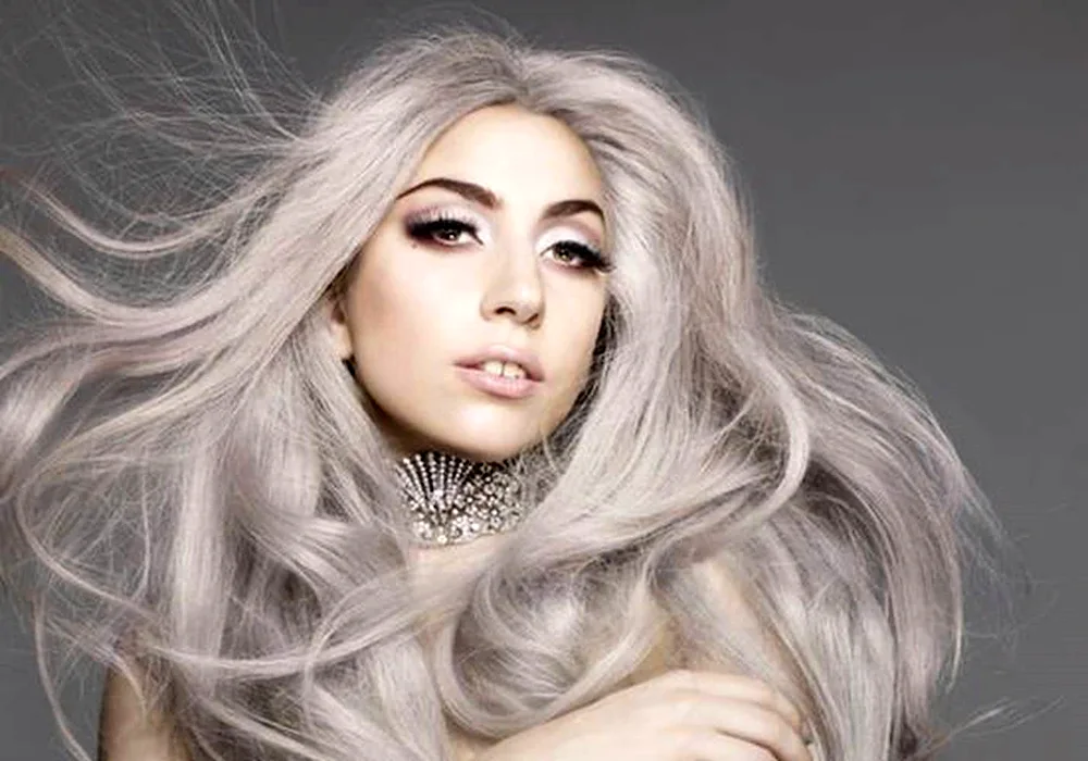 Lady Gaga Grey