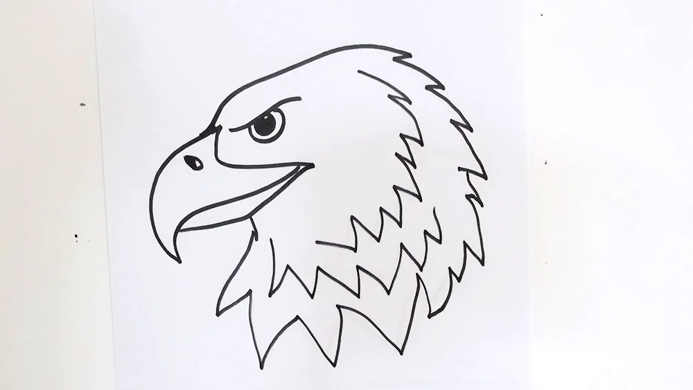 Eagle drawing