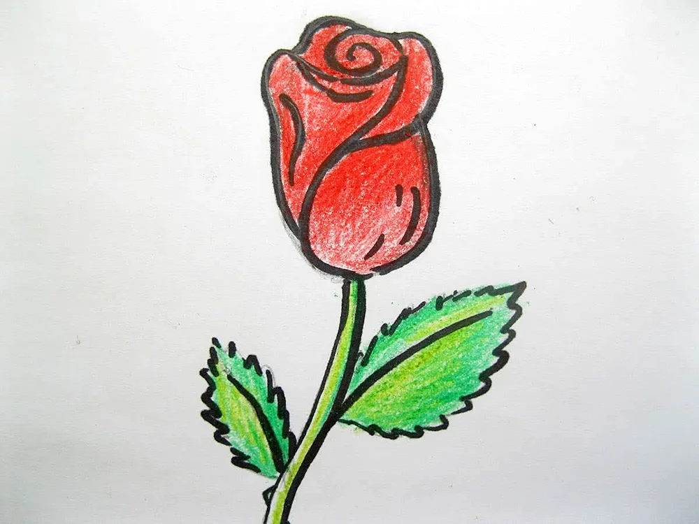 Pencil drawing