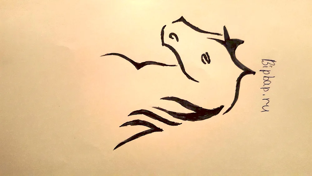 Easy drawings for drawing sketching
