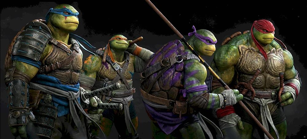 Leonardo Michelangelo Raphael Donatello Turtles