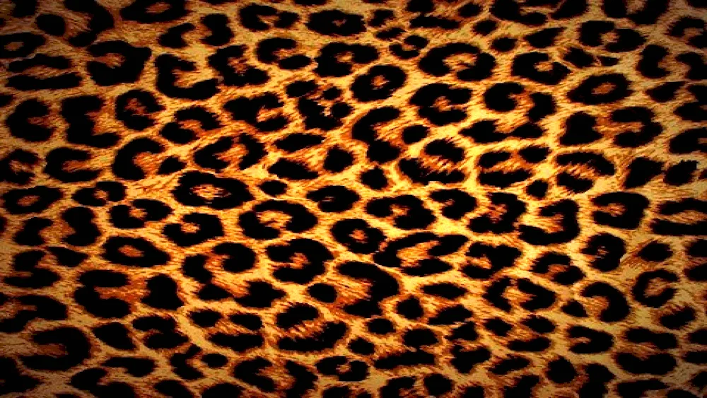 Leopard pattern vector