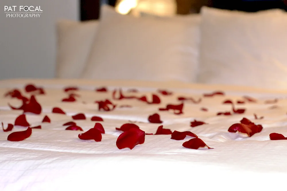 Roses on the bed.