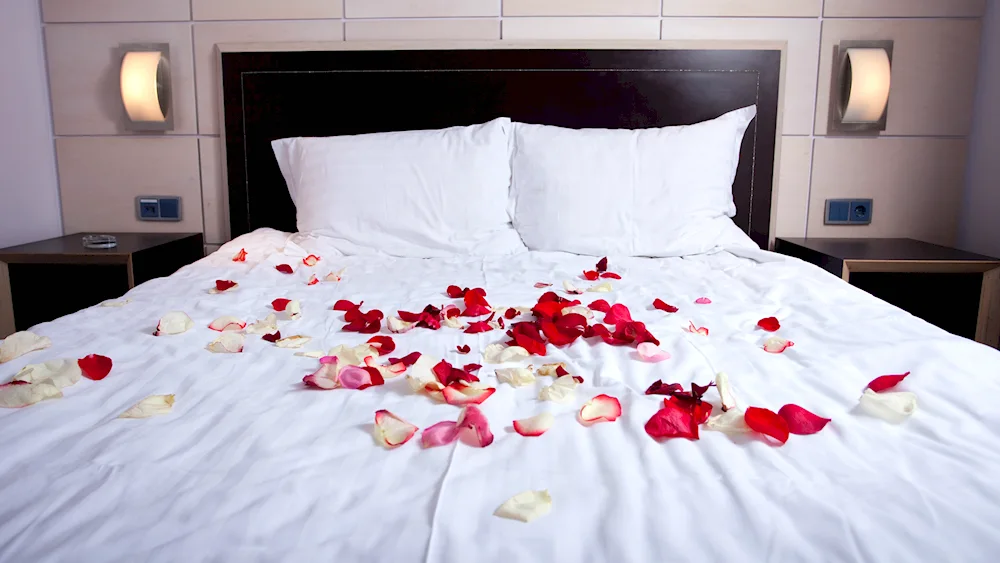 Rose petals on the bed