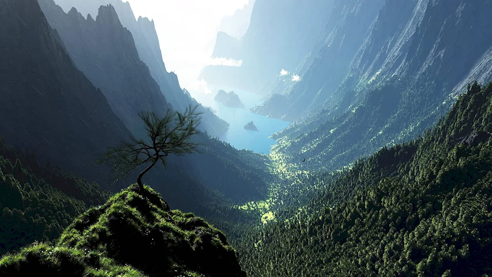 Lea forest mountains