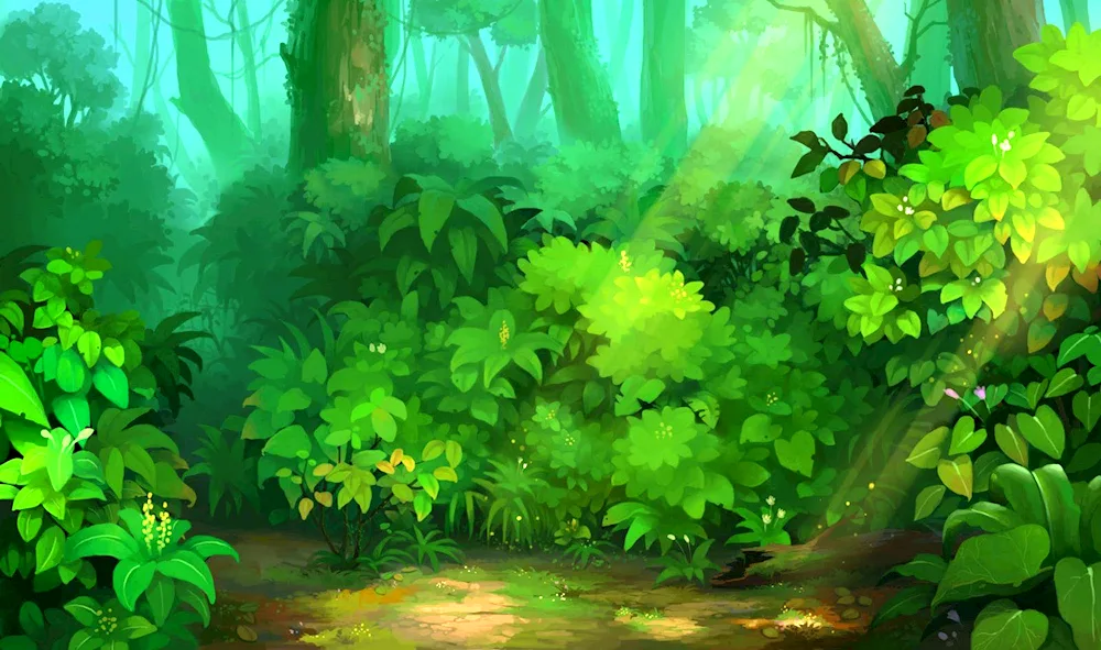 Forest drawing