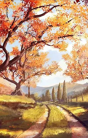 Forest path Genshin