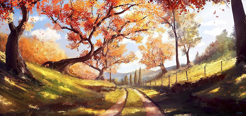 Forest path Genshin