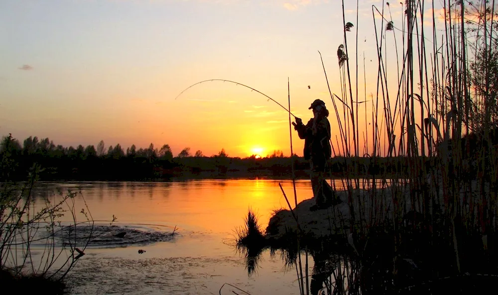 Fishing for desktop