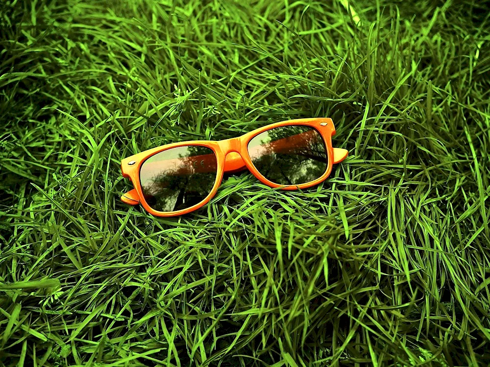 Sunglasses