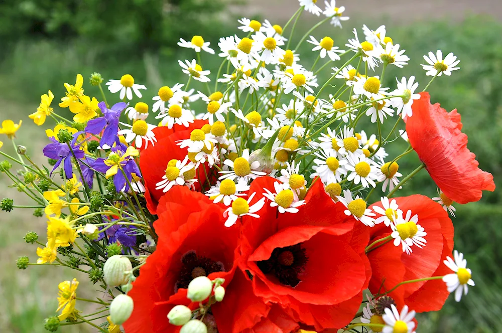 Summer bouquet