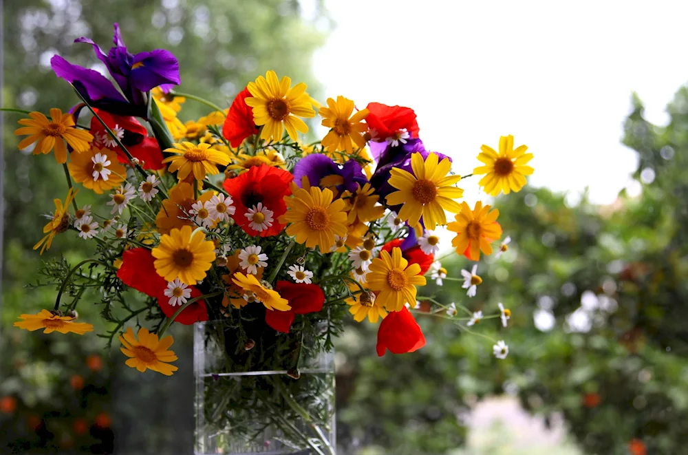 Summer flowers