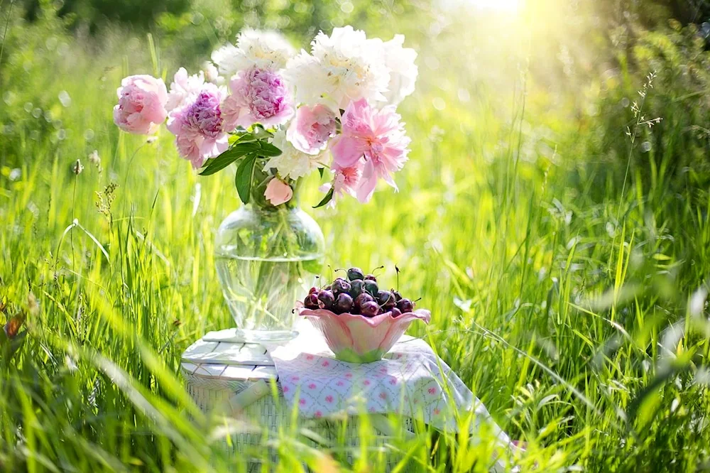 Louise Geltz Photo still life