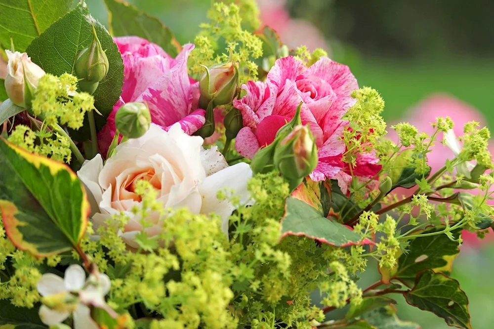 Summer bouquet