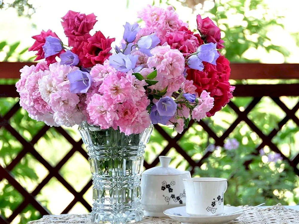 Morning flowers