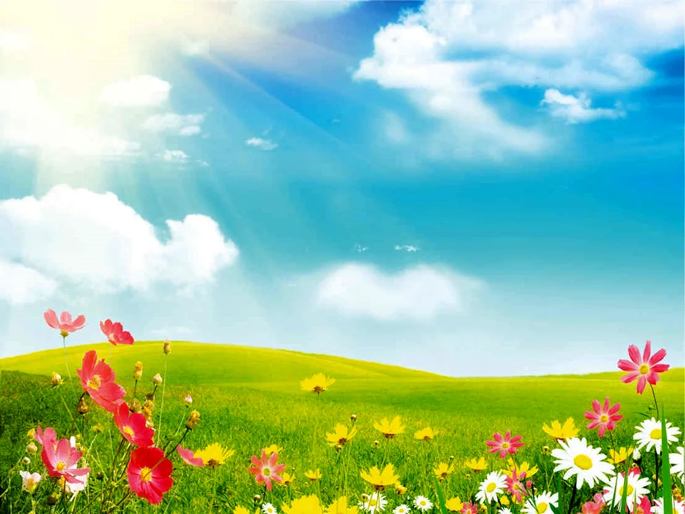 Summer background