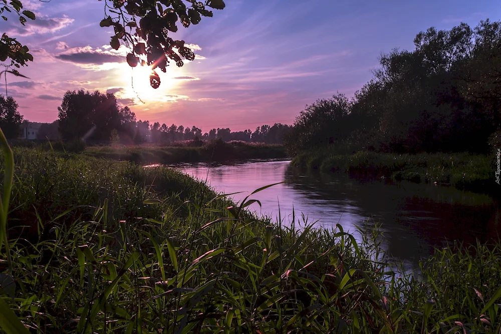 Nature sunset