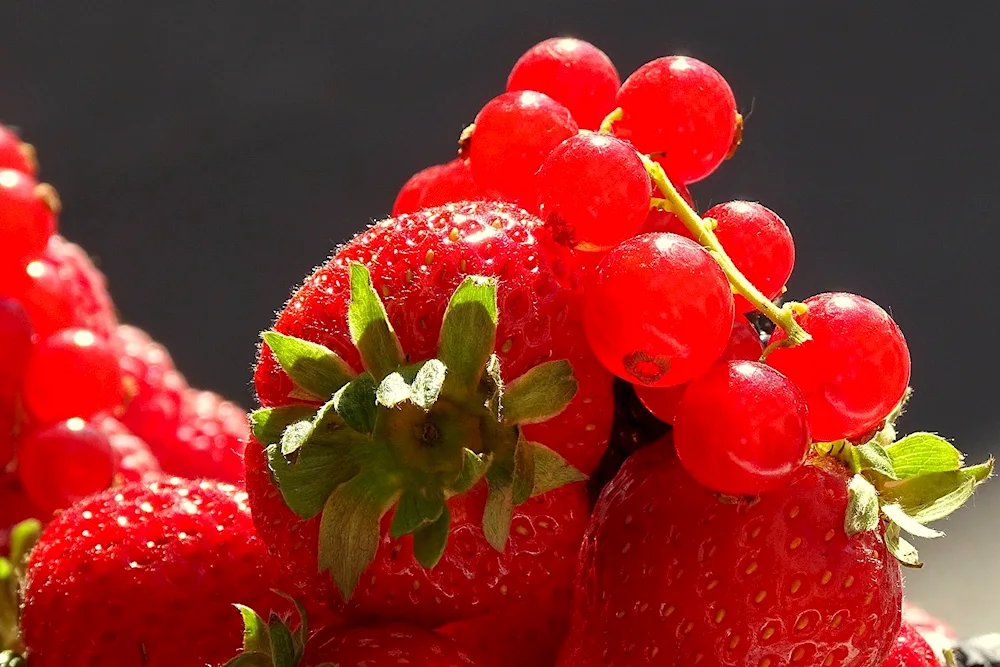 Summer berries