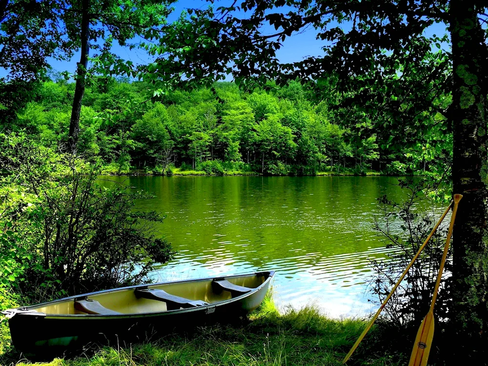 Boats at dawn